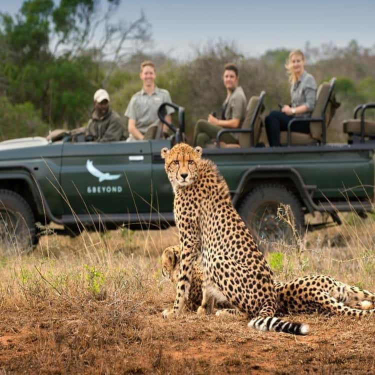 Tarangire National Park tour