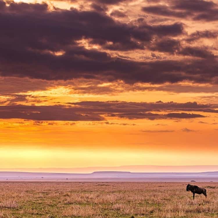 Serengeti National Park tour